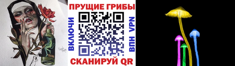 Псилоцибиновые грибы Cubensis Грязовец